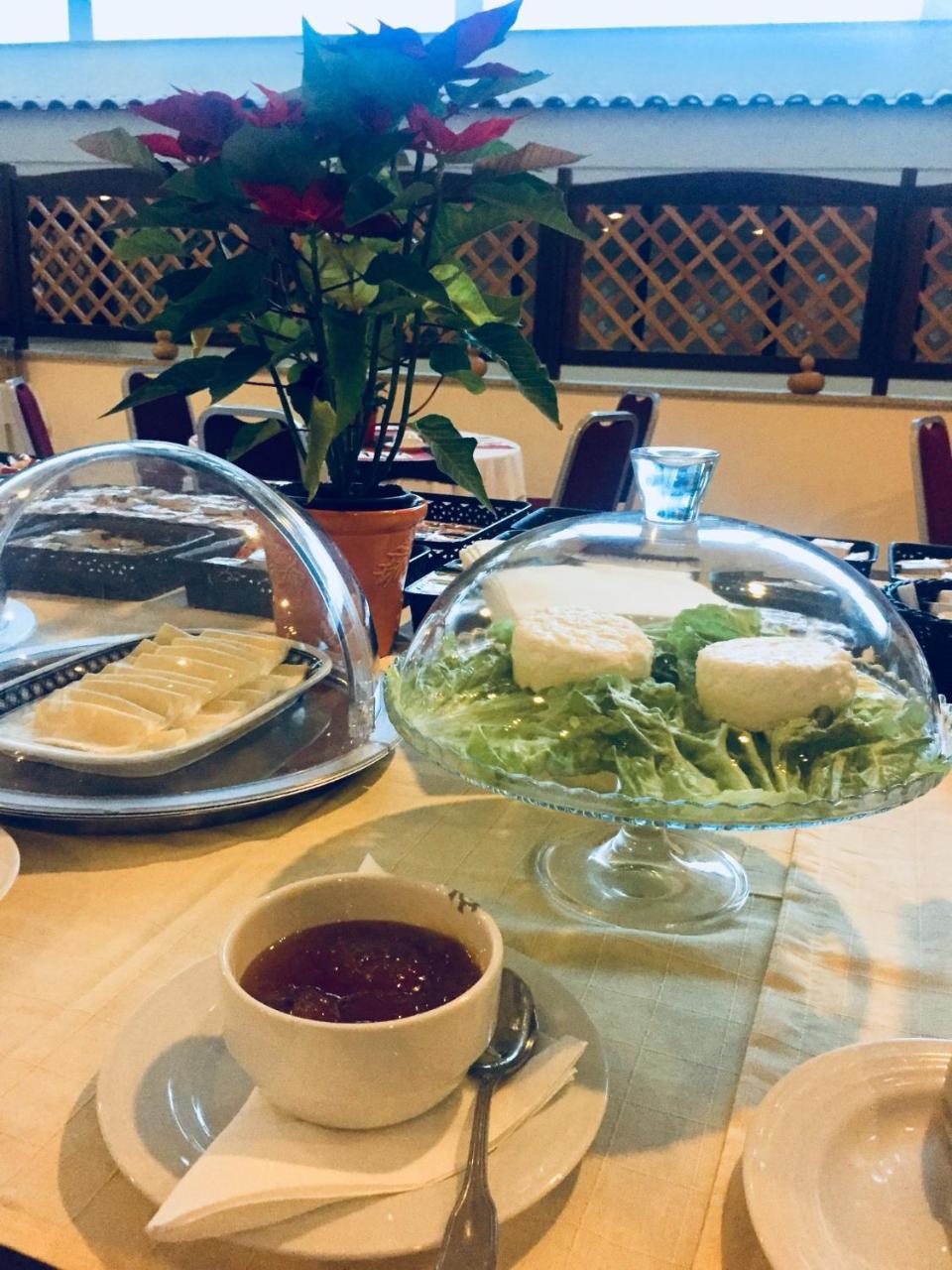 Palace Hotel E Spa Monte Rio Термас-де-Сан-Педру-ду-Сул Екстер'єр фото
